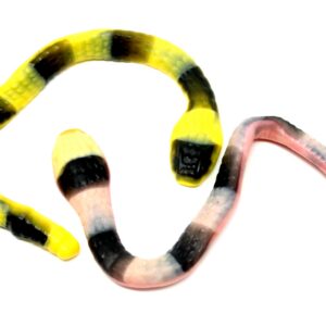 Asba One-Foot Gummi Snake – Germany Import, Bulk