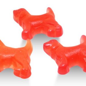 Gustaf Red Berry Beagles – Holland Import, Bulk