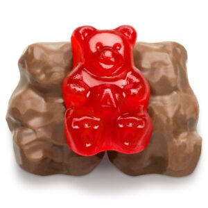 Albanese Chocolate Covered Gummi Bears Bulk – USA