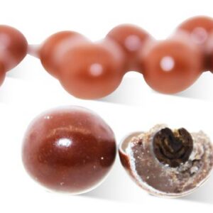 Thin Soft Brown Candy Shelled Chocolate Covered Espresso Beans