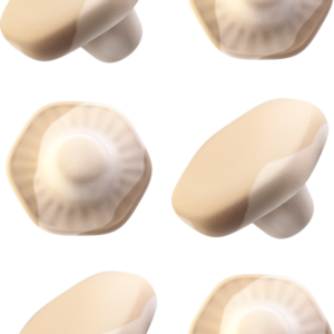Caramel Marshmallow Mushroom (Kolakantareller)